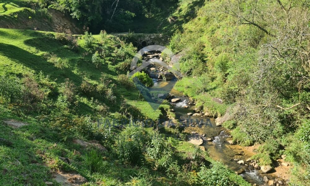 WhatsApp Image 2026-01-18 at 13.48.24