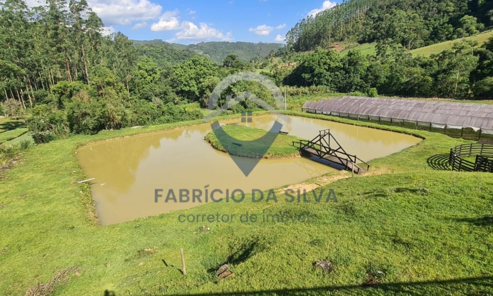 WhatsApp Image 2026-01-18 at 13.48.45 (1) - Copia