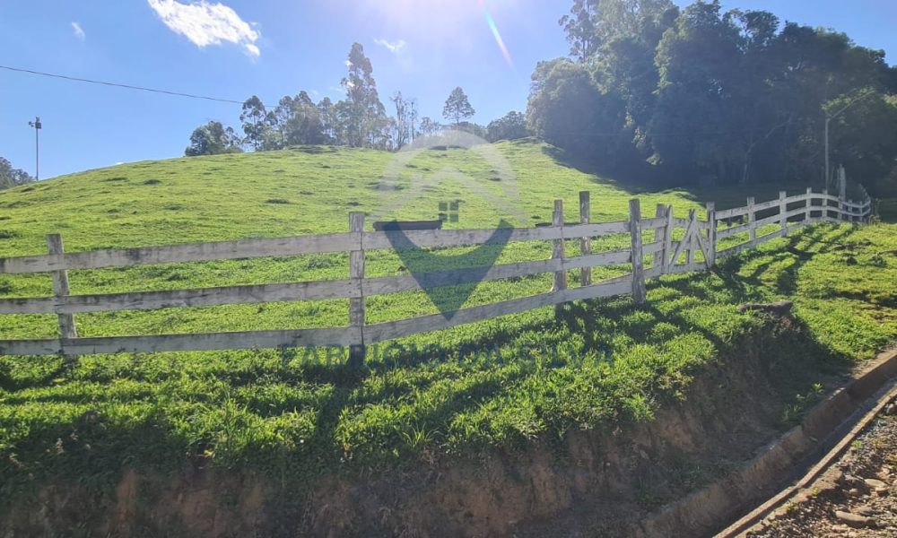 WhatsApp Image 2026-01-18 at 13.48.46 (2) - Copia