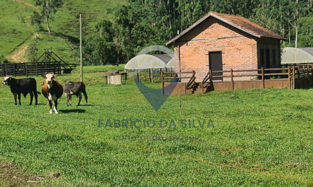 WhatsApp Image 2026-01-18 at 13.48.49 (2) - Copia