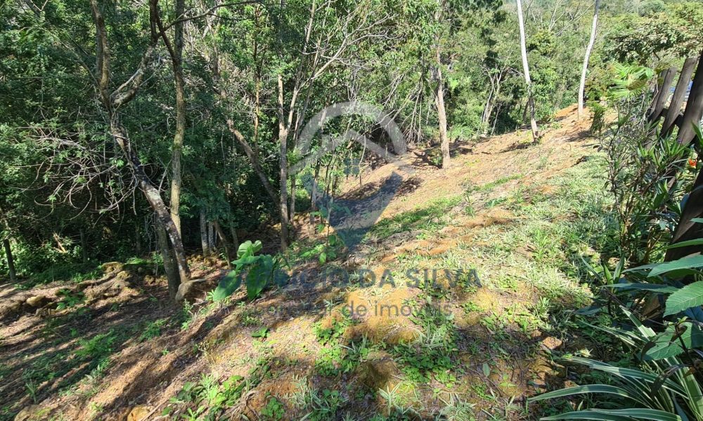 WhatsApp Image 2026-01-18 at 14.05.13 (7)