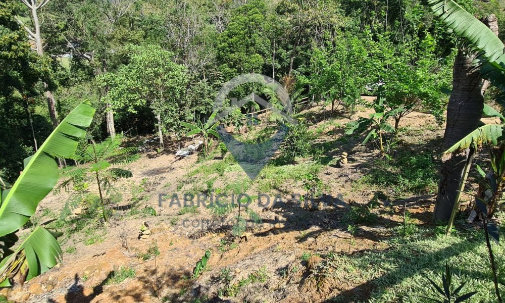 WhatsApp Image 2026-01-18 at 14.05.14 (1)