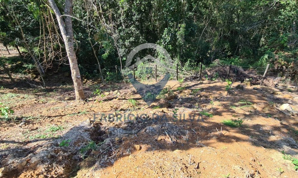 WhatsApp Image 2026-01-18 at 14.05.14 (3)