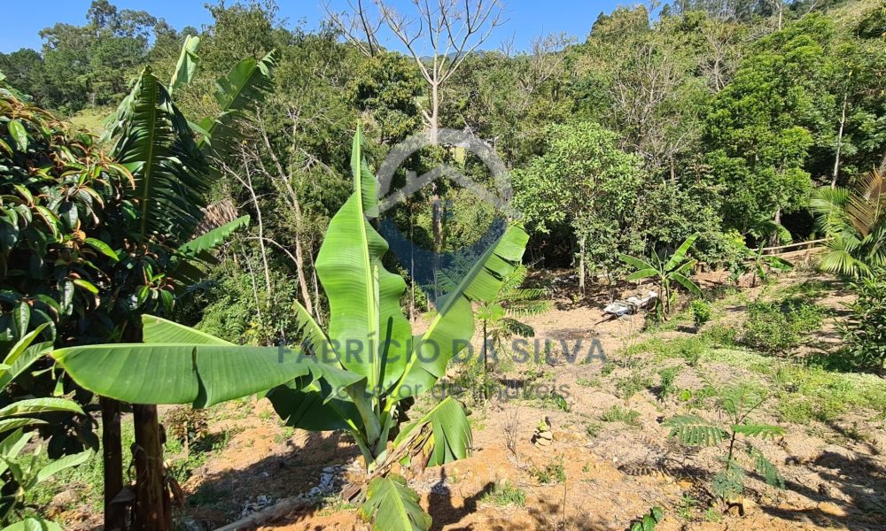 WhatsApp Image 2026-01-18 at 14.05.14