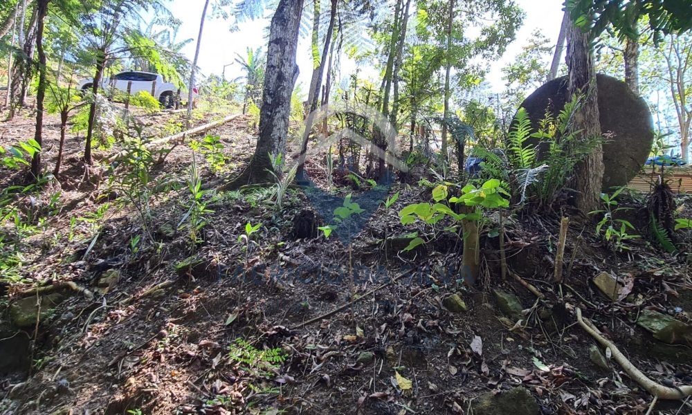 WhatsApp Image 2026-01-18 at 14.05.15