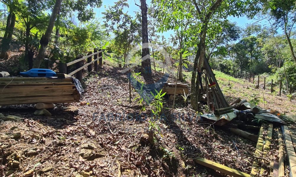 WhatsApp Image 2026-01-18 at 14.05.16 (1)