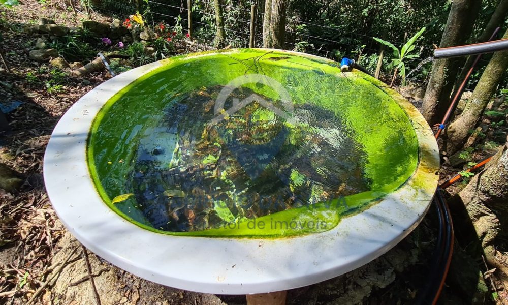 WhatsApp Image 2026-01-18 at 14.05.16 (3)