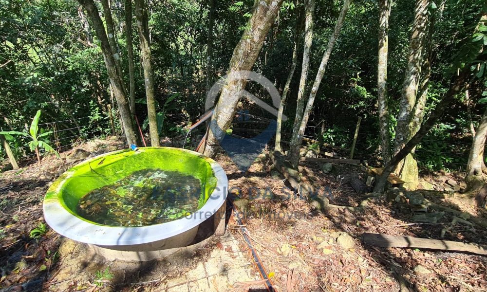 WhatsApp Image 2026-01-18 at 14.05.16 (4)