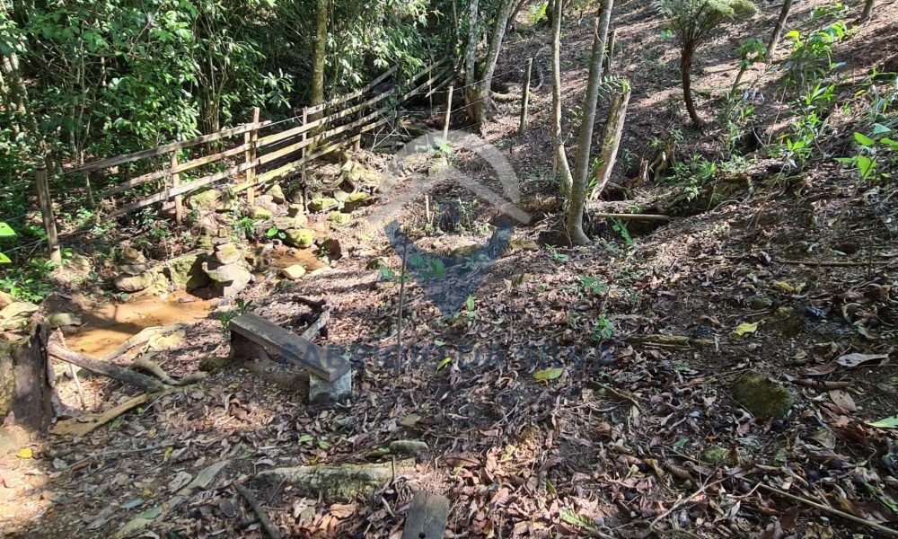 WhatsApp Image 2026-01-18 at 14.05.16