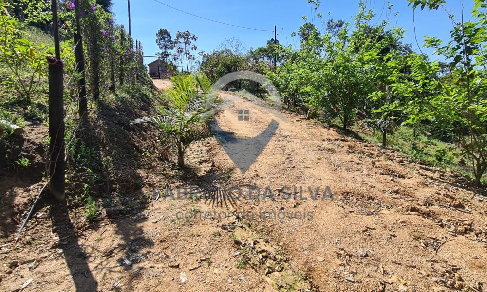 WhatsApp Image 2026-01-18 at 14.05.17 (3)