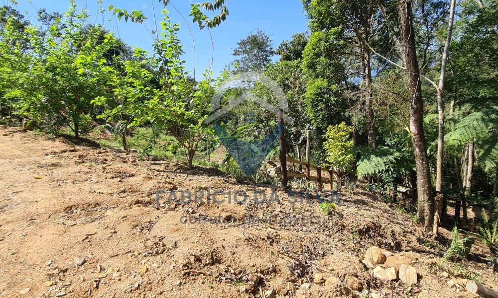 WhatsApp Image 2026-01-18 at 14.05.17 (4)