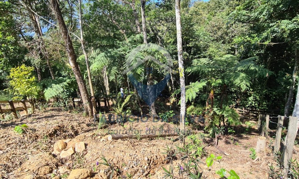 WhatsApp Image 2026-01-18 at 14.05.18