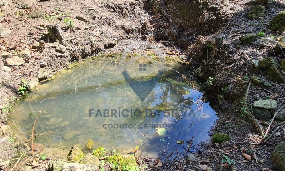 WhatsApp Image 2026-01-18 at 14.16.29 (1)