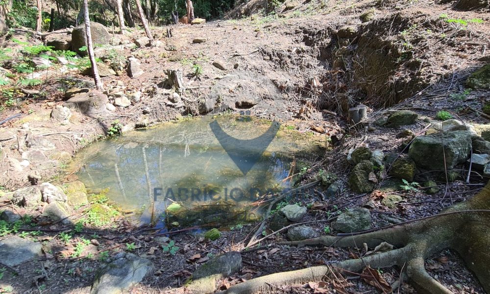 WhatsApp Image 2026-01-18 at 14.16.29 (2)