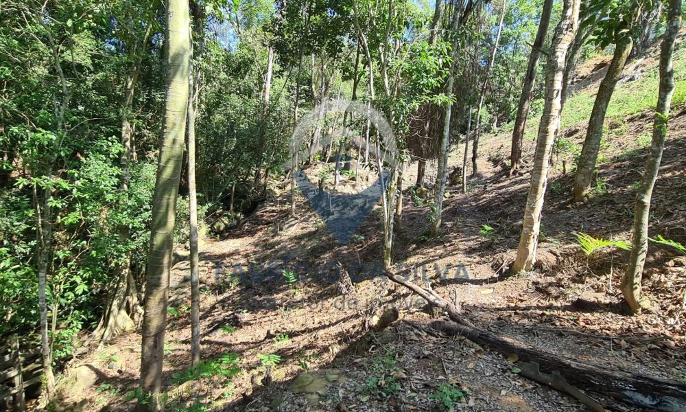 WhatsApp Image 2026-01-18 at 14.16.29 (3)