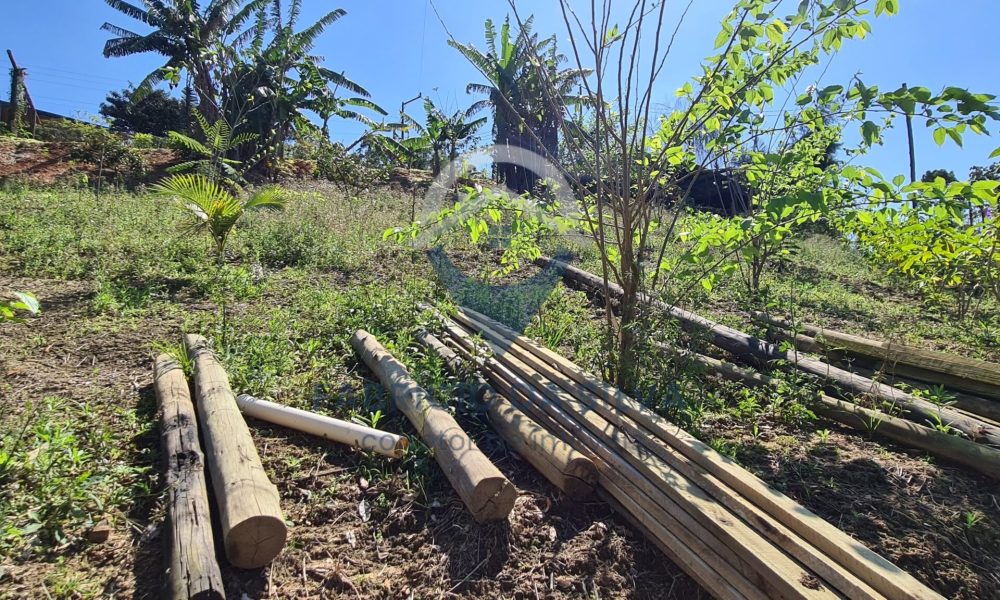 WhatsApp Image 2026-01-18 at 14.16.29 (7)