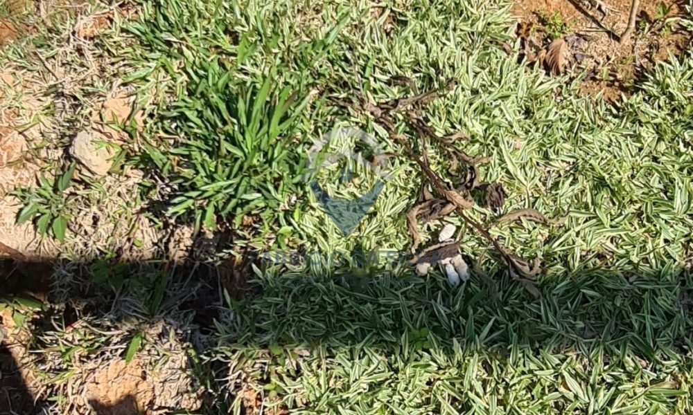 WhatsApp Image 2026-01-18 at 14.16.29 (8)