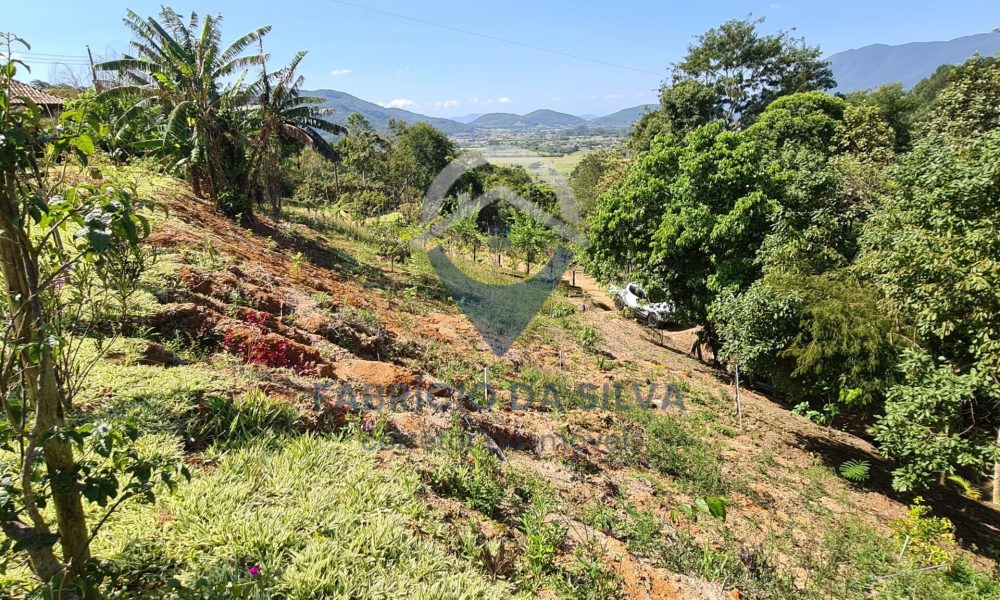 WhatsApp Image 2026-01-18 at 14.16.30 (7)