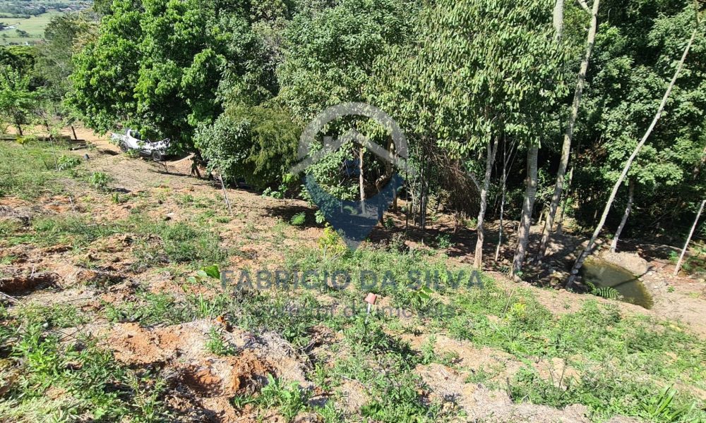 WhatsApp Image 2026-01-18 at 14.16.30 (8)