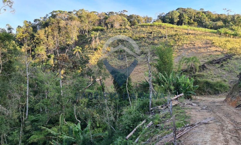 WhatsApp Image 2026-01-18 at 14.54.59 (4)