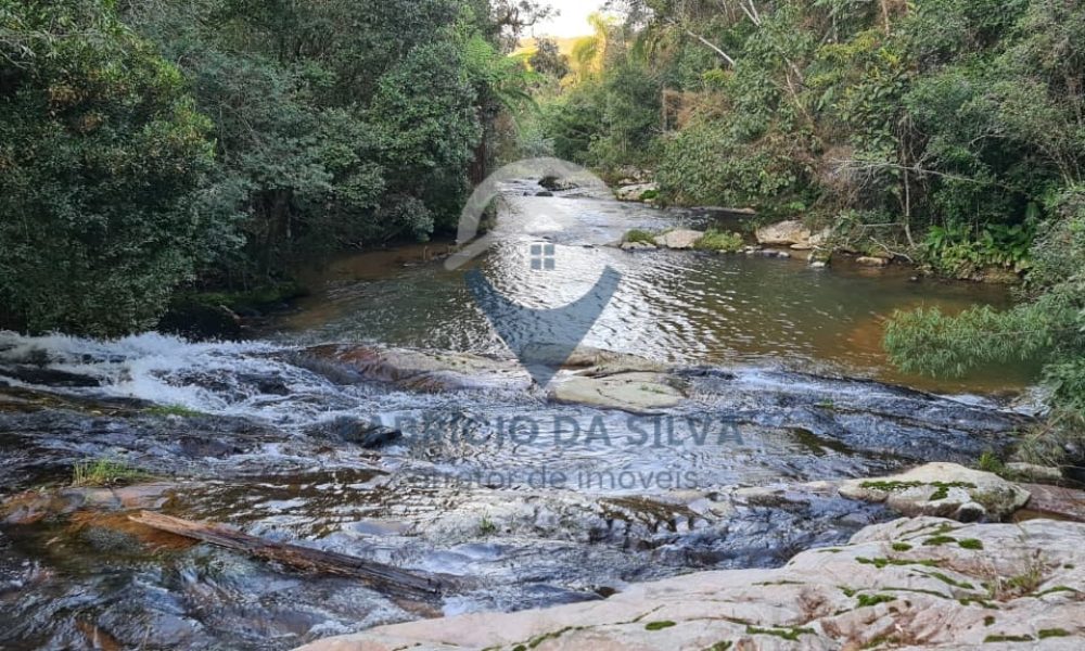 WhatsApp Image 2026-01-18 at 14.54.59