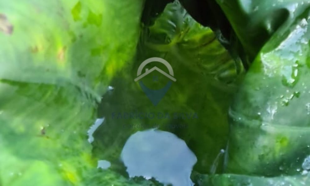 WhatsApp Image 2026-01-18 at 14.55.00 (3)