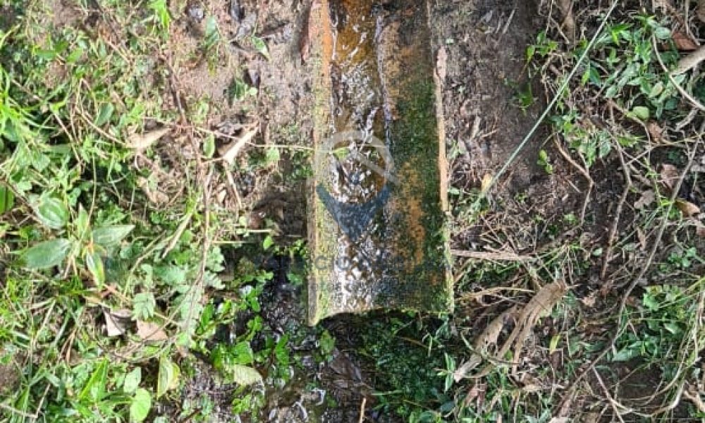 WhatsApp Image 2026-01-18 at 14.55.00 (4)