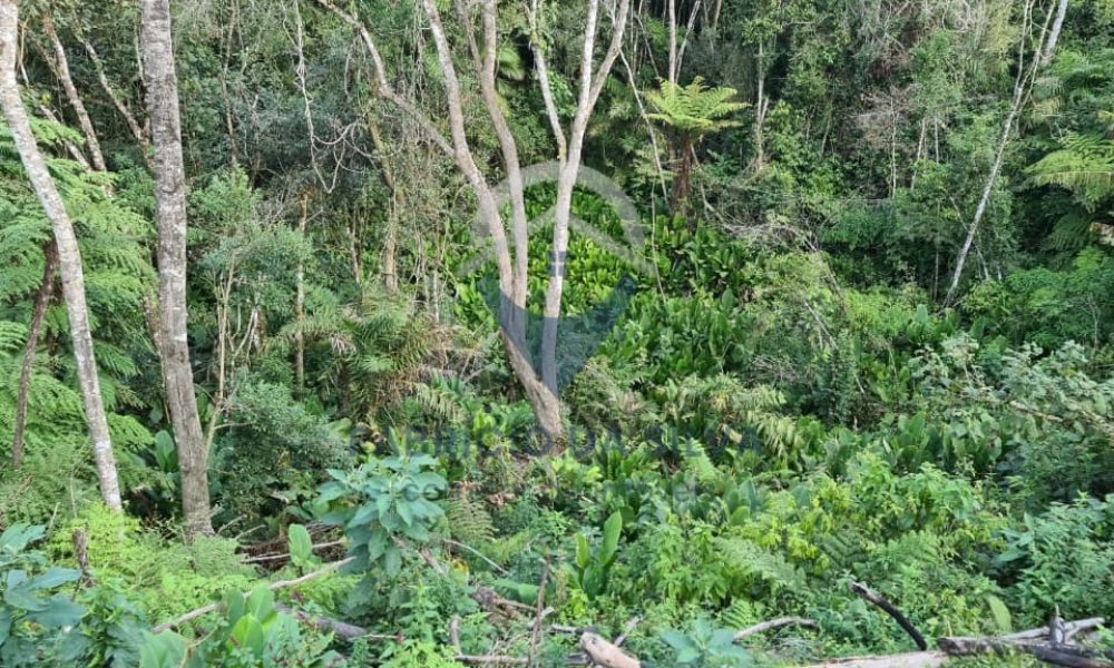 WhatsApp Image 2026-01-18 at 14.55.00