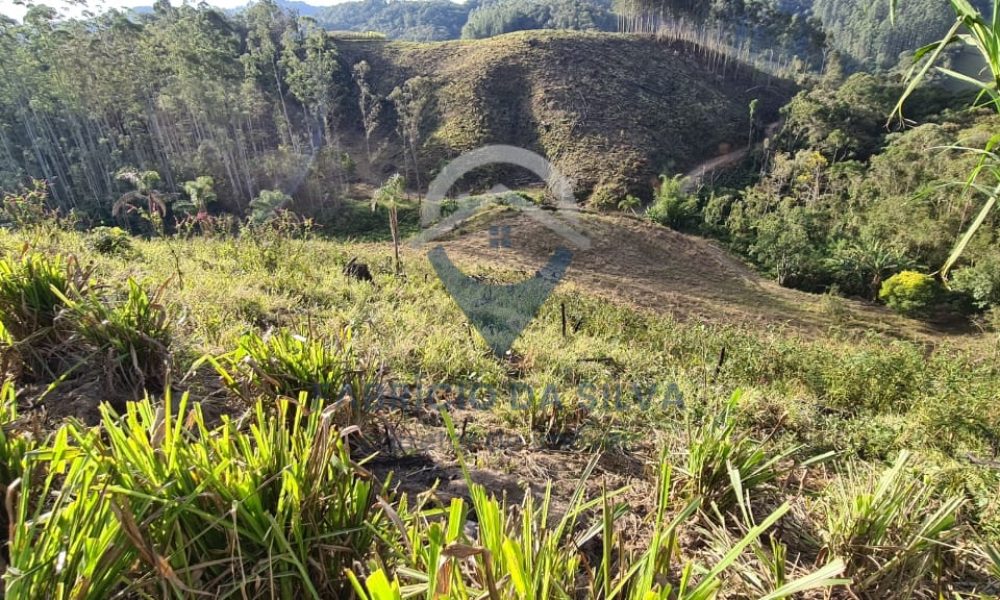 WhatsApp Image 2026-01-18 at 14.55.04