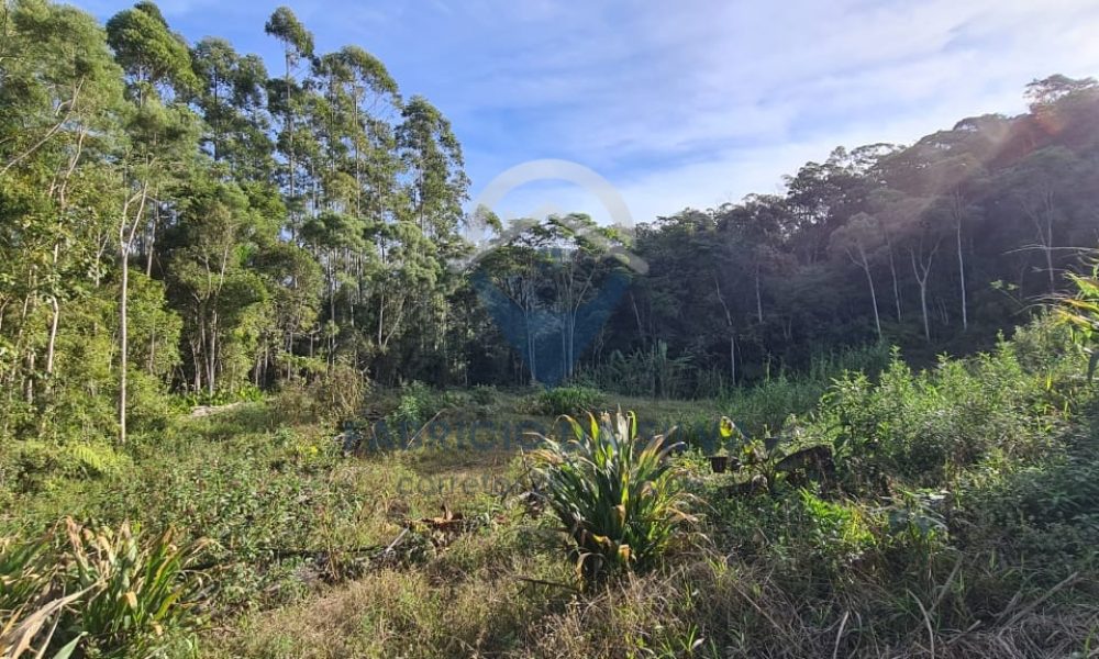 WhatsApp Image 2026-01-18 at 14.55.05 (1)