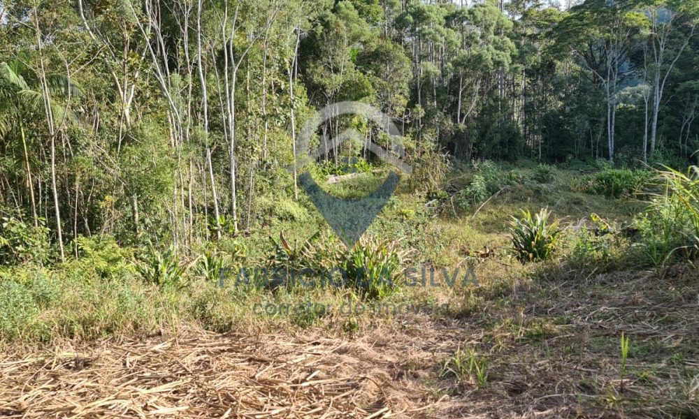 WhatsApp Image 2026-01-18 at 14.55.05