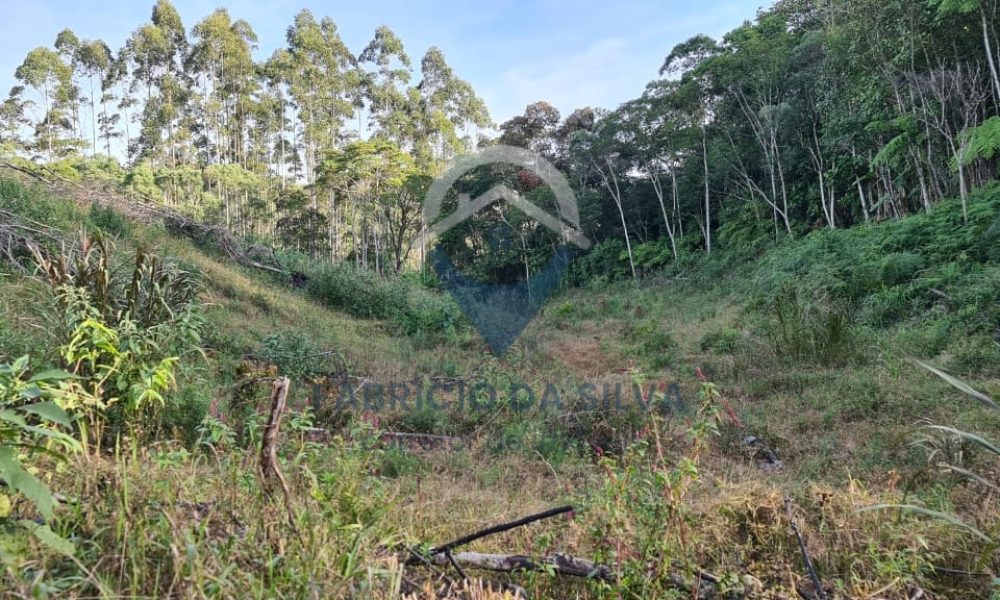 WhatsApp Image 2026-01-18 at 14.55.06 (1)