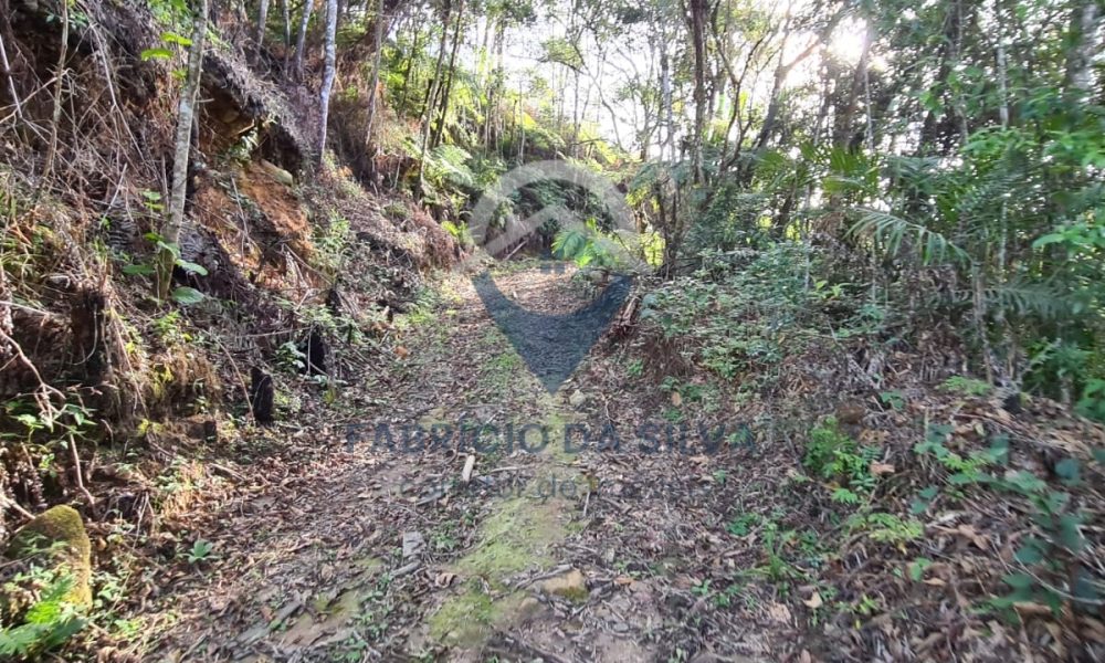 WhatsApp Image 2026-01-18 at 14.55.06