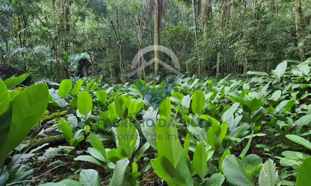 WhatsApp Image 2026-01-18 at 14.55.11 (1)