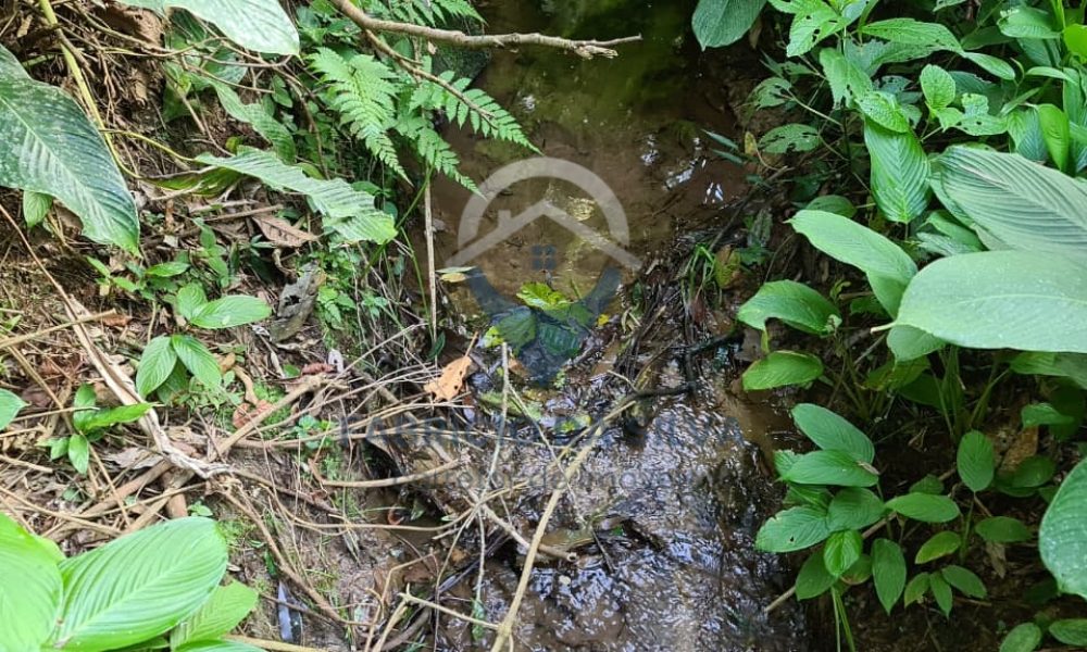 WhatsApp Image 2026-01-18 at 14.55.11