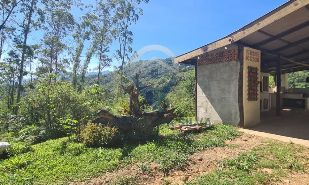 WhatsApp Image 2026-02-02 at 11.49.03 (2)