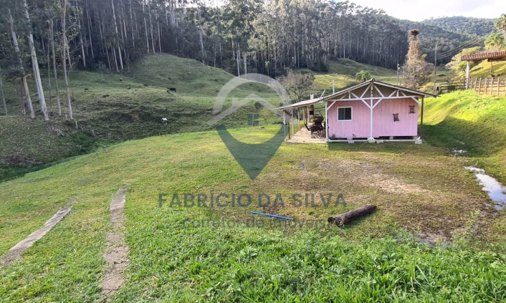 WhatsApp Image 2026-02-02 at 14.18.36