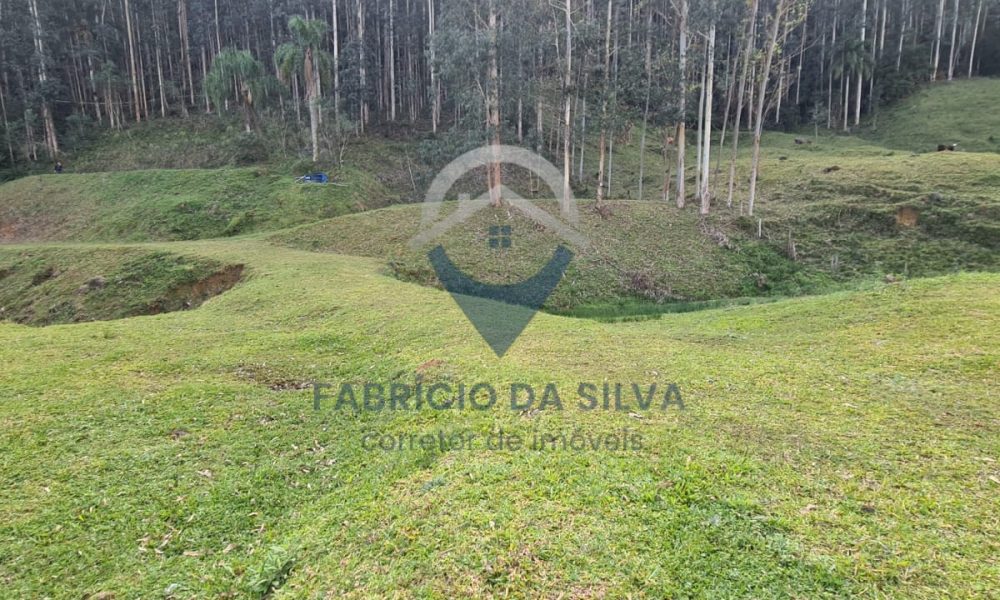 WhatsApp Image 2026-02-02 at 14.18.37 (1)