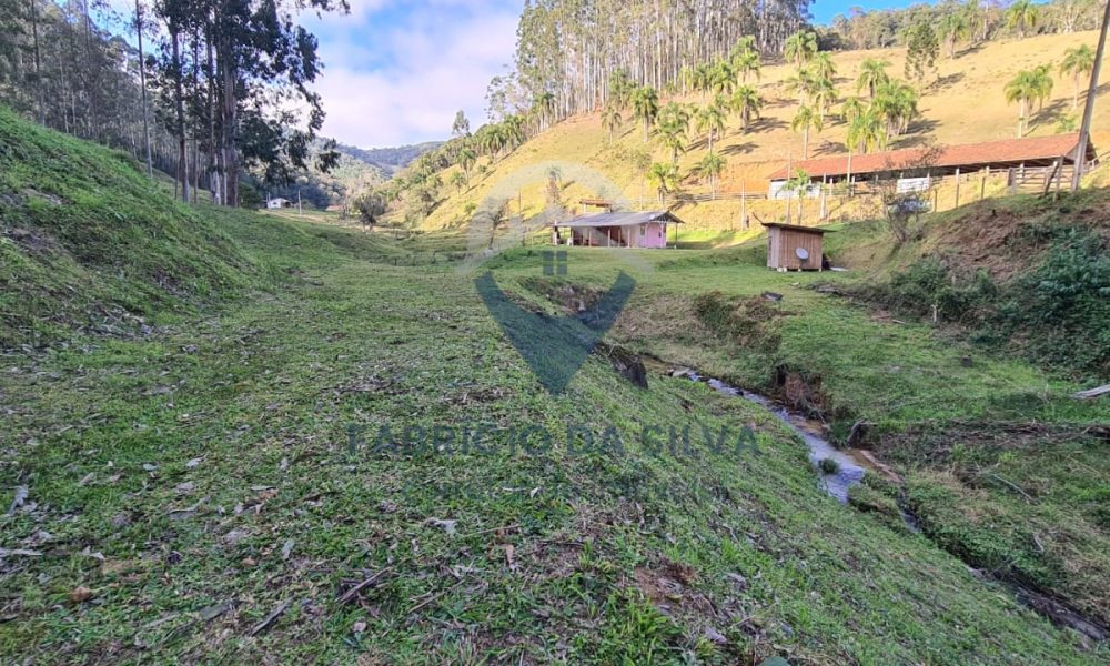 WhatsApp Image 2026-02-02 at 14.18.37