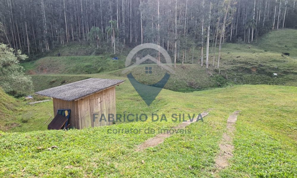 WhatsApp Image 2026-02-02 at 14.18.40