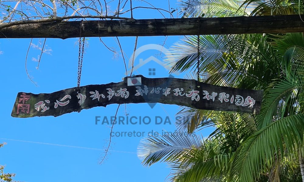 WhatsApp Image 2026-02-02 at 15.24.22