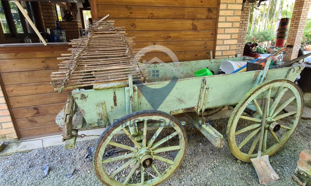 WhatsApp Image 2026-02-02 at 15.24.23 (1)