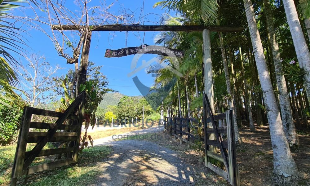 WhatsApp Image 2026-02-02 at 15.24.23