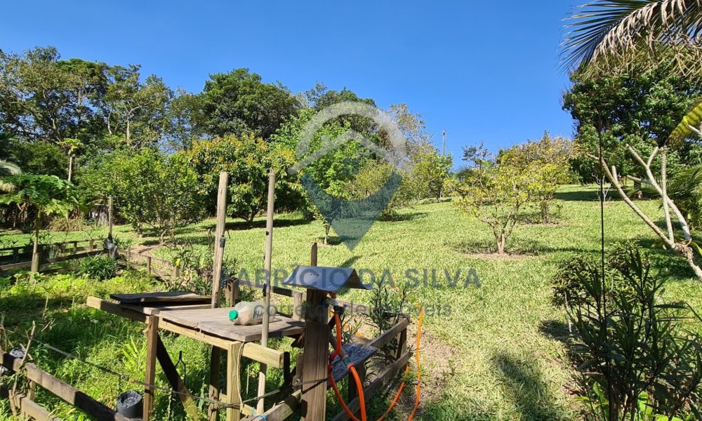 WhatsApp Image 2026-02-02 at 15.24.24 (1)