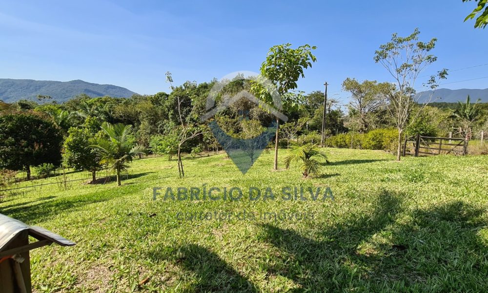 WhatsApp Image 2026-02-02 at 15.24.24