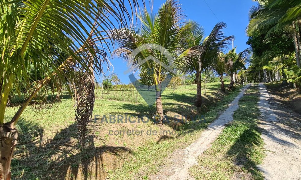 WhatsApp Image 2026-02-02 at 15.24.25 (1)