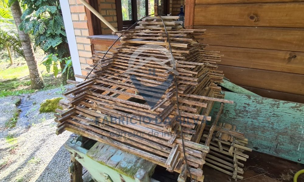 WhatsApp Image 2026-02-02 at 15.24.30 (2)