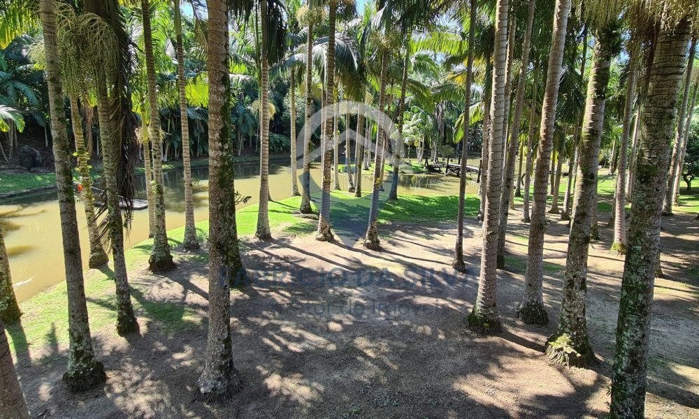 WhatsApp Image 2026-02-02 at 15.24.46 (1)