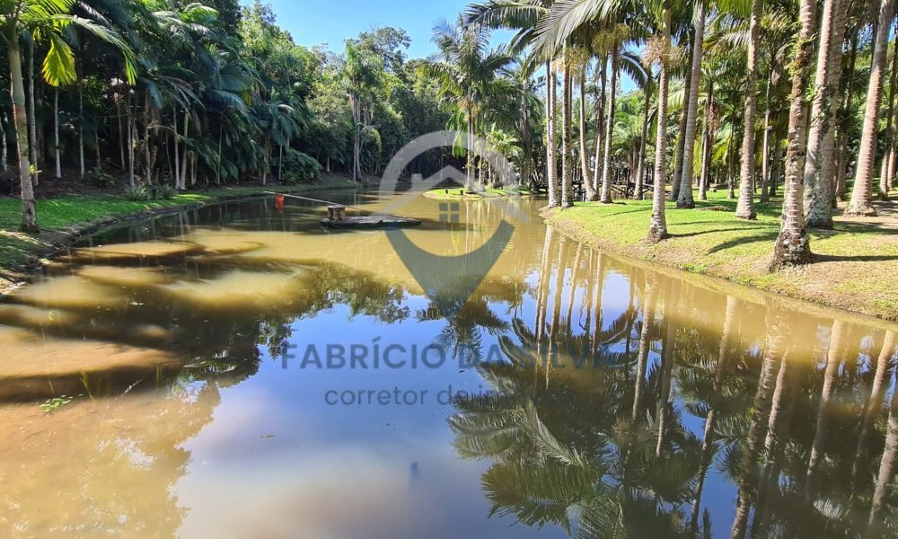 WhatsApp Image 2026-02-02 at 15.25.00