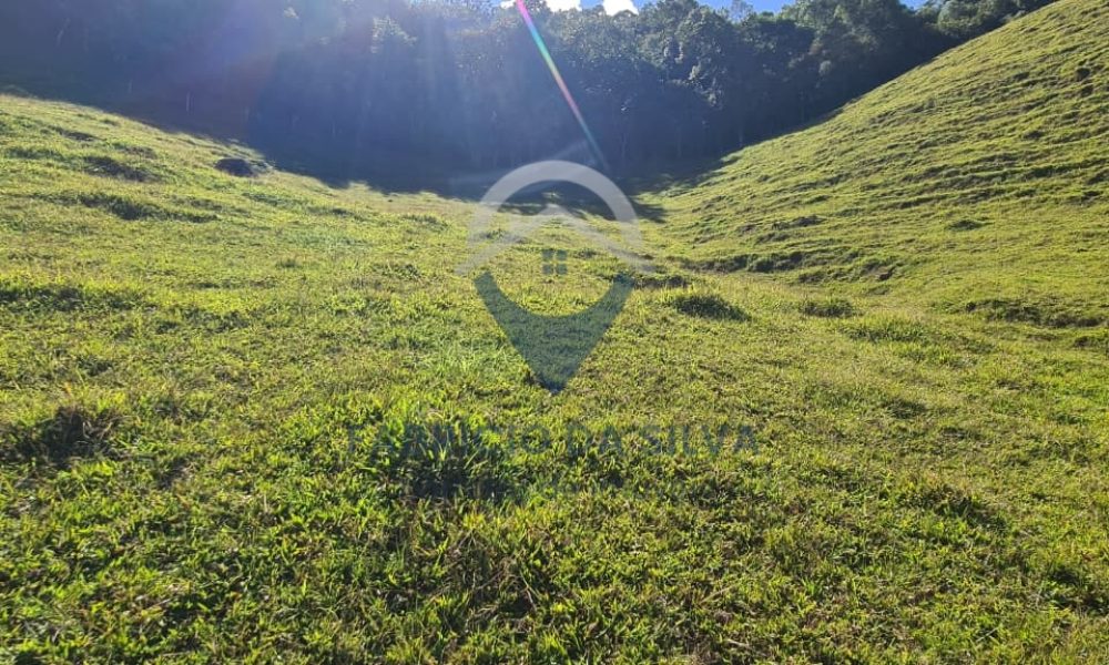 WhatsApp Image 2026-02-04 at 09.47.35 (1)